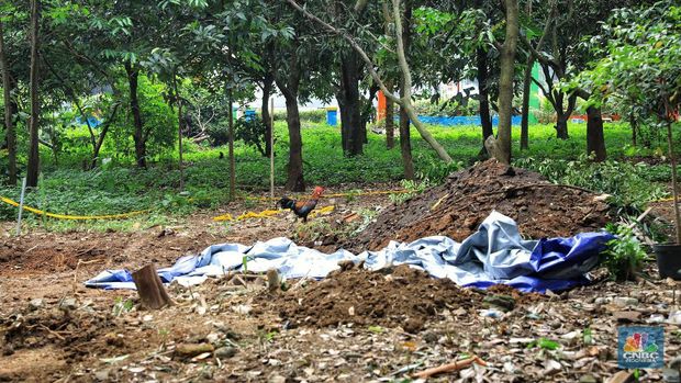 Ada Paparan Radiasi di Perum Batan Indah, Ini Langkah Bapeten