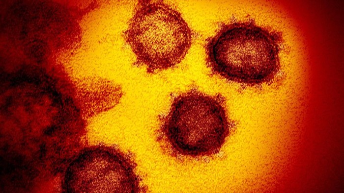 Virus Corona dilihat dari mikroskop