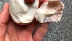 Ketika Telur Ada di Dalam Telur dan Paprika di Dalam Paprika