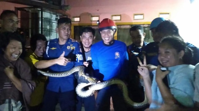 Ular 5 meter dievakuasi damkar dari rumah warga dekat Stadion Mattoanging (dok. Istimewa)