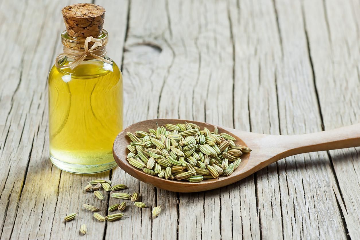 Glass bottle of fennel essential oil with fennel seeds in wooden spoon on wooden table. Herbs alternative medicine background concept