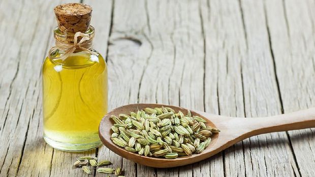 Glass bottle of fennel essential oil with fennel seeds in wooden spoon on wooden table. Herbs alternative medicine background concept