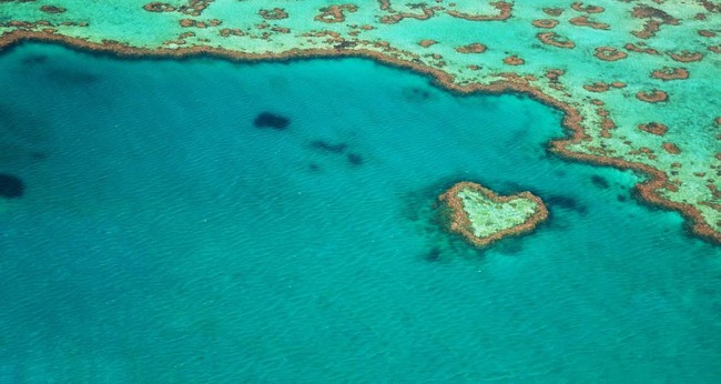Australia juga punya tempat wisata alam berbentuk hati. Great Barrier Reef di Queensland yang merupakan ekosistem bagi terumbu karang terbesar di dunia memiliki karang berbentuk seperti hati. Foto: iStock