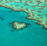 Australia juga punya tempat wisata alam berbentuk hati. Great Barrier Reef di Queensland yang merupakan ekosistem bagi terumbu karang terbesar di dunia memiliki karang berbentuk seperti hati. Foto: iStock