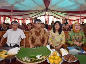 Wamendes: Teknologi Digital Dorong Kemajuan Ekonomi Desa