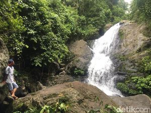 Air Terjun Tersembunyi di Hutan Sulawesi Barat