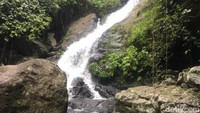 Menurut kabar, belum banyak warga yang mengetahui keberadaan air terjun yang berada di tengah areal perkebunan warga. Padahal jaraknya cukup dekat dengan pemukiman.  (Abdy Febriady/detikcom)