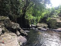 Air Terjun Tersembunyi dari Hutan Sulawesi