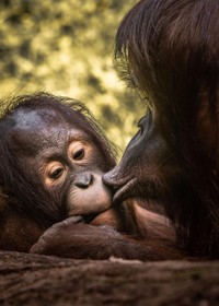 Foto tak hanya mampu merekam peristiwa maupun fenomena alam mempesona. Foto juga dapat mengabadikan momen-momen penuh kasih kepada sesama. Penasaran? Yuk, lihat
