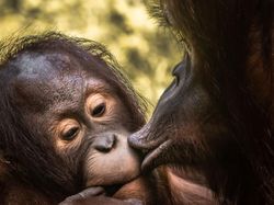 Deretan Foto Penuh Kasih yang Hangatkan Hati