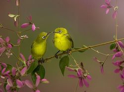 Deretan Foto Penuh Kasih yang Hangatkan Hati