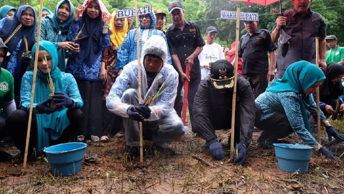 Bupati Gowa Adnan Purichta Ichsan menindaklanjuti arahan Presiden Joko Widodo (Jokowi) untuk menanam tanaman vetiver (Dok. Istimewa)