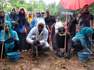 Ikuti Arahan Jokowi, Bupati Gowa Tanam 180.000 Vetiver di 11 Kecamatan