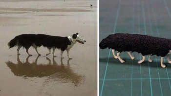 Anjing ini jadi terlihat memiliki banyak kaki karena foto panorama yang error. Foto: Twitter/Meetissai