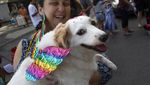 Melihat Gaya Para Anjing yang Bikin Gemas di Karnaval Brasil