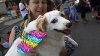 Seekor anjing mengenakan sayap warna-warni saat ikut serta dalam karnaval anjing yang digelar di sepanjang Pantai Copacabana, Rio de Janeiro, Brasil.