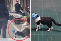 tingkah hewan kocak diubah jadi patung 3d
