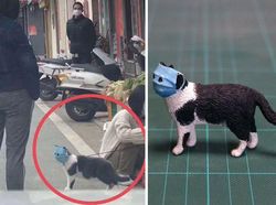 Kocak! Ketika Tingkah Hewan yang Viral Dijadikan Patung 3D