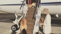 Chrissy Teigen tampak menunggu anjing-anjing miliknya masuk lebih dulu ke dalam pesawat pribadnya. Dok. Instagram/chrissyteigen