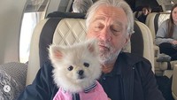 Martin Scorsese juga selalu mengajak anjing miliknya yang dinamakan The Yeti Dogs, bahkan ia kerap memotret peliharaannya itu bersama para bintang dunia seperti Robert DeNiro. Dok. Instagram/theyetidog