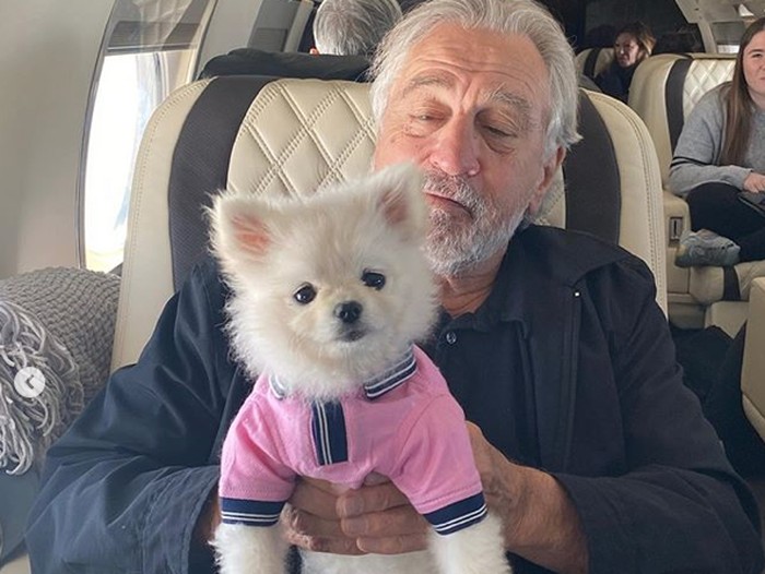 The Yeti Dog, anjing peliharaan sutradara Martin Scorsese.