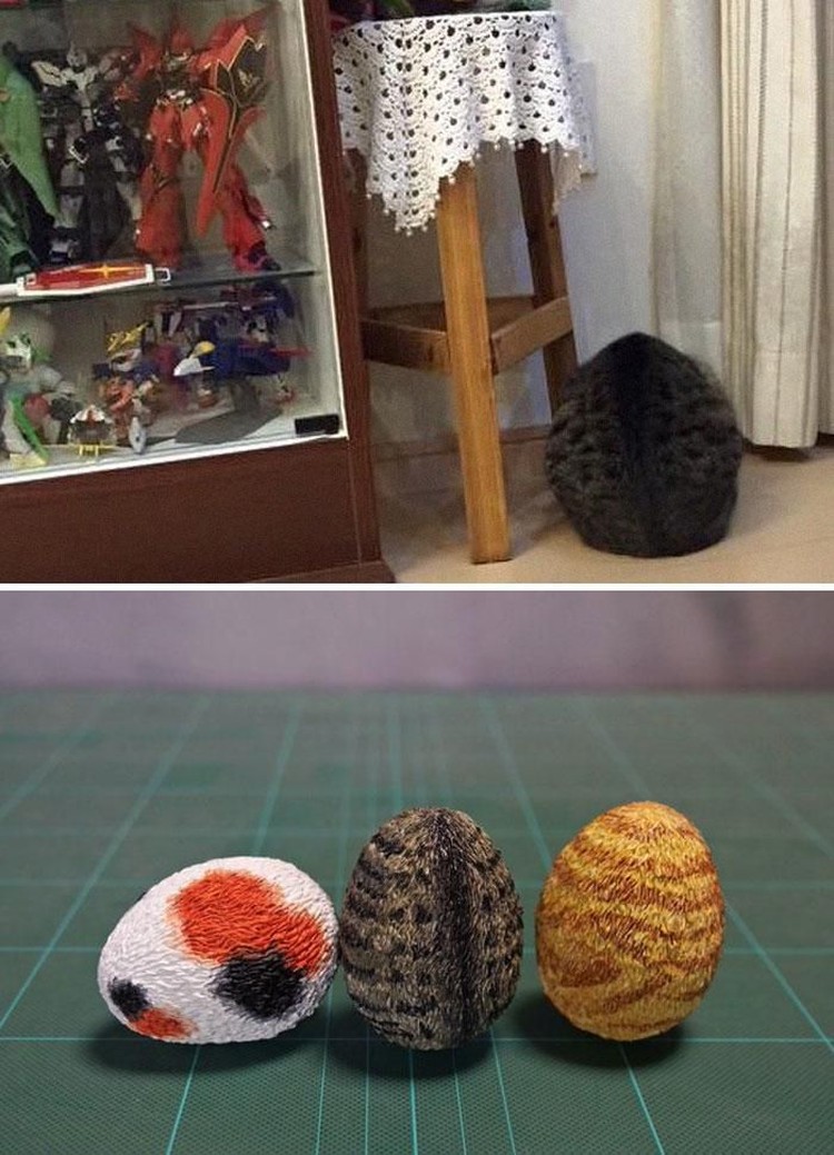 tingkah hewan kocak diubah jadi patung 3d
