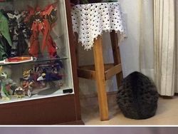 Kocak! Ketika Tingkah Hewan yang Viral Dijadikan Patung 3D