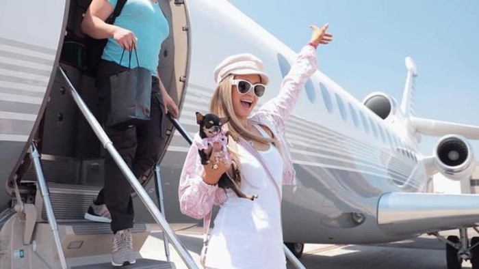 Peliharaan Selebriti Anjing Cihuhua milik Paris Hilton.