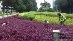 Membuat Kupu-kupu Betah di Taman Patung Diponegoro