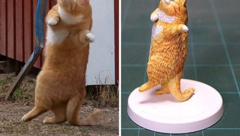 Kucing oren mirip Garfield lagi menari. Foto: Twitter/Meetissai