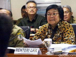 Rapat Bareng Komisi IV, Menteri LHK Ungkap 637 Ha Lahan Gambut-Mangrove Kritis
