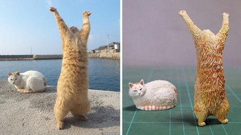 Kucing putih bingung lihat tingkah si kucing oren. Foto: Twitter/Meetissai