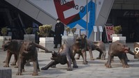 Seperti diketahui, sejak wabah virus corona pertama kali diidentifikasi terjadi di Wuhan, China pada akhir tahun 2019 lalu, sejumlah upaya untuk menekan penyebaran virus itu pun dilakukan, mulai dari menutup akses dari dan menuju Wuhan hingga menghentikan sementara operasi transportasi publik di sejumlah kawasan, termasuk di Wuhan. AP Photo/Ng Han Guan.
