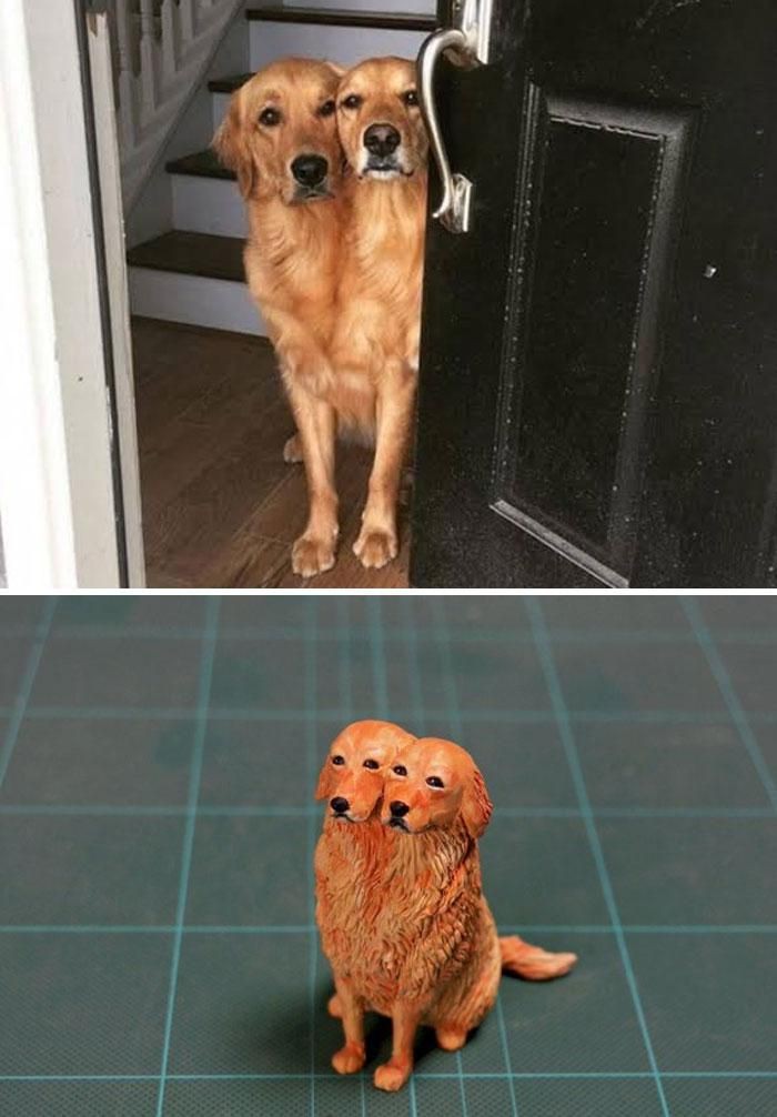 tingkah hewan kocak diubah jadi patung 3d