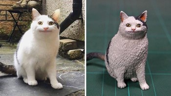 Ollie, bintang dari meme polite cat yang sempat viral beberapa waktu yang lalu. Foto: Twitter/Meetissai