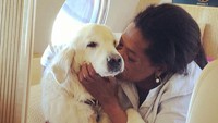 Tak hanya naik private jet, Luke, anjing milik Oprah, juga mendapatkan fasilitas kelas A.  Dok. Instagram/gayleking