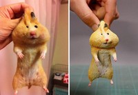 tingkah hewan kocak diubah jadi patung 3d