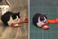 tingkah hewan kocak diubah jadi patung 3d