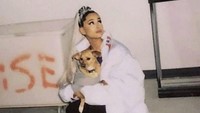 Tak hanya mengajaknya di pesawat, Ariana Grande bahkan membawa anjingnya itu saat melakukan photoshoot maupun di backstage saat konser. Dok. Instagram/arianagrande