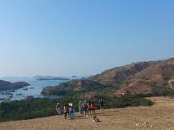 Pulau Rinca akan Dijadikan Jurassic Park Indonesia