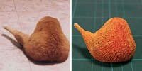 tingkah hewan kocak diubah jadi patung 3d