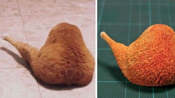 Kucingnya kok jadi mirip paha ayam goreng? Foto: Twitter/Meetissai