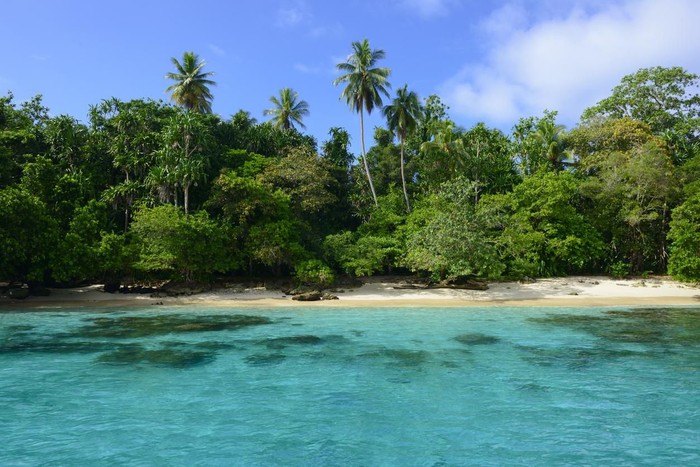 View of the clear water and tropical coastline of Pig Island, a small and uninhabited island off the coast of Madang, Papua New Guinea