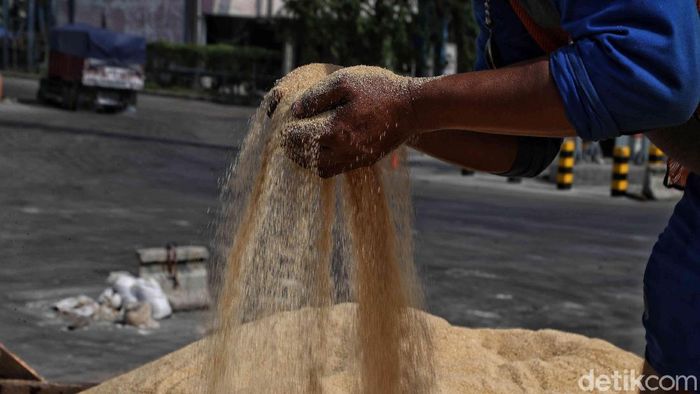 Dilema Gula Impor di Indonesia Gula menjadi salah satu bahan pangan pokok yang diimpor pemerintah. Impor itu dilakukan untuk menjaga pasokan harga dan pasokan menjelang Ramadhan 2020.