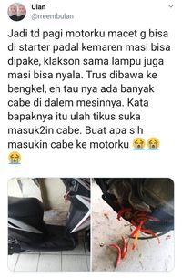 Karena Ulah Tikus Kumpulkan Cabai di Mesin, Motor Ini Mogok