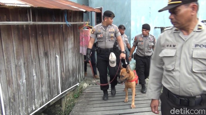 Anjing pelacak disertakan dalam penyelidikan kasus tewasnya balita Yusuf yang jasadnya ditemukan tanpa kepala di Samarinda (Suriyatman/detikcom)