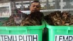Toko Herbal di Bandung Ini Berumur 2 Abad!
