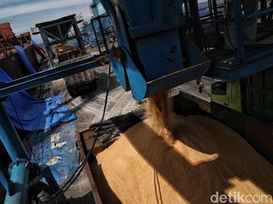 Ini Alasan Pemerintah Impor 438.000 Ton Gula Mentah