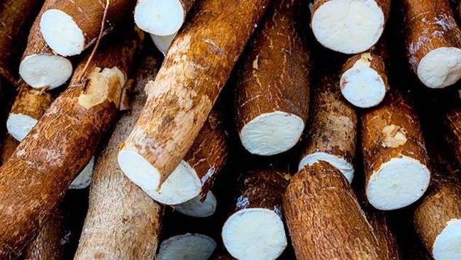 Penuh Racun, Ini 5 Makanan Berbahaya di Dunia yang Masih Bisa Dimakan