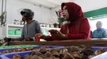 Toko Herbal di Bandung Ini Berumur 2 Abad!